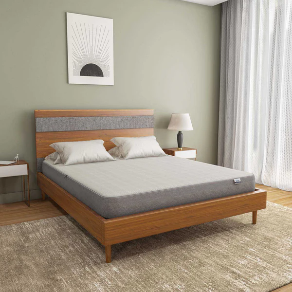 MAXICEFOAMDOUBLE01_bc53b28a-3382-47e1-8830-41c5464cf8fa_600x